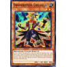 Yu-Gi-Oh TCG DANE-EN007 C Dinowrestler Coelasilat Dark Neostorm
