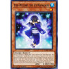 Yu-Gi-Oh TCG DANE-EN016 C Yuki-Musume, the Ice Mayakashi Dark Neostorm