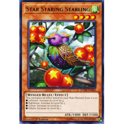 Yu-Gi-Oh TCG DANE-EN024 R Star Staring Starling Dark Neostorm