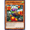 Yu-Gi-Oh TCG DANE-EN024 R Star Staring Starling Dark Neostorm
