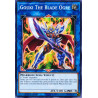 Yu-Gi-Oh TCG DANE-EN043 C Gouki The Blade Ogre Dark Neostorm