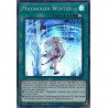 Yu-Gi-Oh TCG DANE-EN057 SR Mayakashi Winter Dark Neostorm