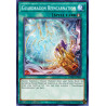 Yu-Gi-Oh TCG DANE-EN060 C Guardragon Reincarnation Dark Neostorm