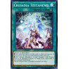 Yu-Gi-Oh TCG DANE-EN061 C Crusadia Testament Dark Neostorm