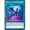 Yu-Gi-Oh TCG DANE-EN063 SR Dirge of the Lost Dragon Dark Neostorm