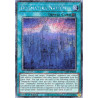 Yu-Gi-Oh TCG RA05-EN066 PS Dogmatika Nation Platinum Secret Rare Rarity Collection 5