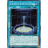 Yu-Gi-Oh TCG RA05-EN065 SE Eldlixir of Black Awakening Secret Rare Rarity Collection 5
