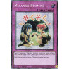 Yu-Gi-Oh TCG RA05-EN127 STAR Mikanko Promise (stamp artwork) Starlight Rare Rarity Collection 5