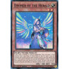 Yu-Gi-Oh TCG RA05-EN017 SR Diviner of the Herald Super Rare Rarity Collection 5