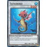 Yu-Gi-Oh TCG RA05-EN040 SR Tatsunoko Super Rare Rarity Collection 5