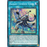 Yu-Gi-Oh TCG RA05-EN075 SR Radiant Typhoon Vision Super Rare Rarity Collection 5