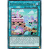Yu-Gi-Oh TCG RA05-EN073 UR Yummyusment☆Mignon Ultra Rare Rarity Collection 5