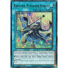 Yu-Gi-Oh TCG RA05-EN075 UR Radiant Typhoon Vision Ultra Rare Rarity Collection 5