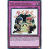 Yu-Gi-Oh TCG RA05-EN127 UR Mikanko Promise (stamp artwork) Ultra Rare Rarity Collection 5