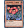 Yu-Gi-Oh TCG BLZD-EN017 C Mimighoul Flower Blazing Dominion
