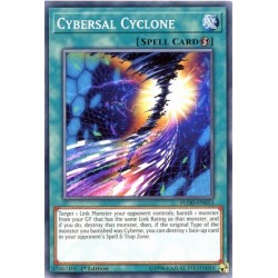 FLOD-EN053 Cybersal Cyclone