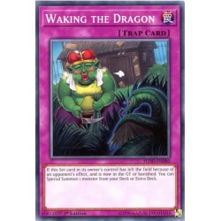 FLOD-EN080 Waking the Dragon
