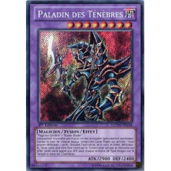 LCYW-FR048 Dunkler Paladin