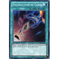 LCYW-FR060 Card Destruction