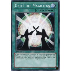 LCYW-FR077 Unité des Magiciens