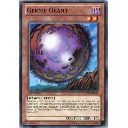 LCYW-FR234 Germe Géant