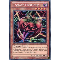 LCYW-FR239 Mystic Tomato