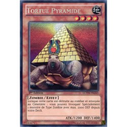 LCYW-FR245 Tortue Pyramide