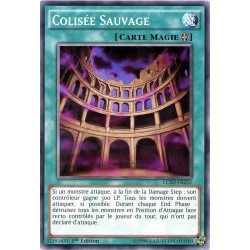 LC5D-FR252 Savage Colosseum