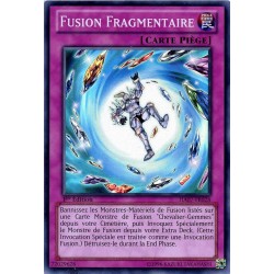 HA07-FR028 Fragment Fusion