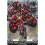 Vanguard TCG card DZ-BT14/FR21EN FR Viele Brande Envoys of the Crimson Moon