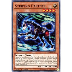 EXFO-EN003 Striping Partner
