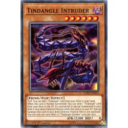 EXFO-EN013 Tindangle Intruder