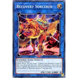 EXFO-EN042 Recovery Sorcerer