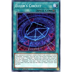 EXFO-EN055 Circuito di Eulero