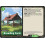 Palworld TCG EBP01-063 R Breeding Farm Dawn of Palpagos