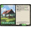 Palworld TCG EBP01-063SR SR Breeding Farm Dawn of Palpagos