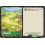 Palworld TCG EBP01-066 U Ranch Dawn of Palpagos