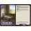 Palworld TCG EBP01-089 U Shoddy Bed Dawn of Palpagos