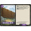 Palworld TCG EBP01-091 C Wooden Wall Dawn of Palpagos