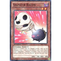 BP02-FR119 Commune Salva Bacon