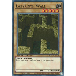 Yu-Gi-Oh TCG SGX2-END02 C Labyrinth Wall Speed Duel GX: Midterm Paradox