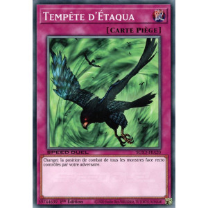 Yu-Gi-Oh TCG SGX3-FRA20 C Tempête d'Étaqua Speed Duel GX : Les Duellistes des Ombres