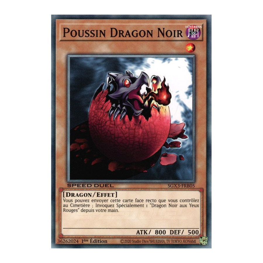 Yu-Gi-Oh TCG SGX3-FRB05 C Poussin Dragon Noir Speed Duel GX : Les Duellistes des Ombres