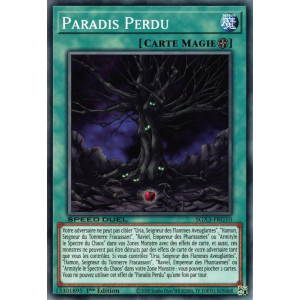 Yu-Gi-Oh TCG SGX3-FRG10 C Paradis Perdu Speed Duel GX : Les Duellistes des Ombres