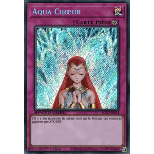 Yu-Gi-Oh TCG SGX3-FRI34 SE Aqua Chœur Speed Duel GX : Les Duellistes des Ombres