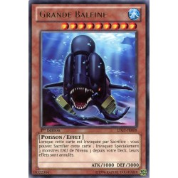 LTGY-FR008 Big Whale