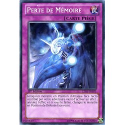 LTGY-FR070 Perte de Mémoire