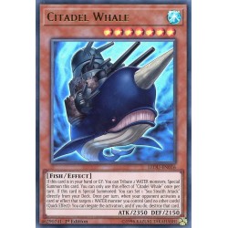 LEDU-EN016 Citadel Whale