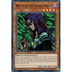 BLLR-EN046 Witch of the...