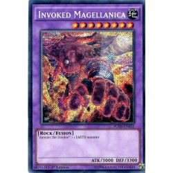 FUEN-EN031 Invoked Magellanica